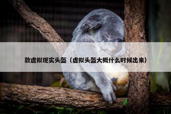 款虚拟现实头盔（虚拟头盔大概什么时候出来）