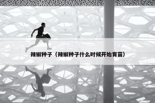 辣椒种子（辣椒种子什么时候开始育苗）