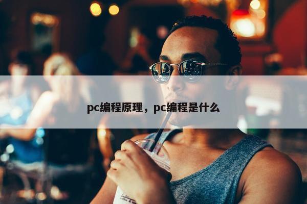 pc编程原理，pc编程是什么