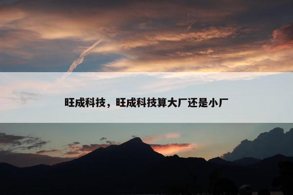 旺成科技，旺成科技算大厂还是小厂