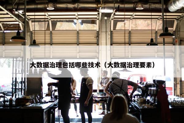大数据治理包括哪些技术（大数据治理要素）