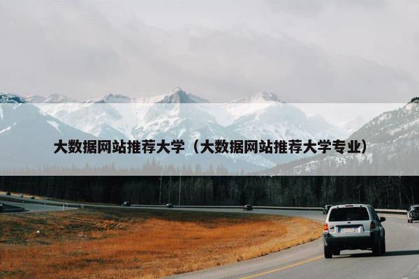 大数据网站推荐大学（大数据网站推荐大学专业）