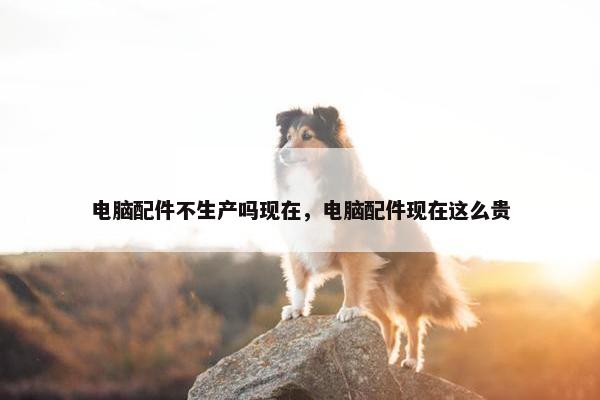 电脑配件不生产吗现在，电脑配件现在这么贵