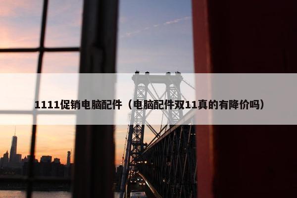 1111促销电脑配件（电脑配件双11真的有降价吗）