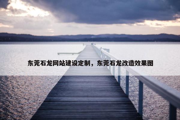 东莞石龙网站建设定制，东莞石龙改造效果图