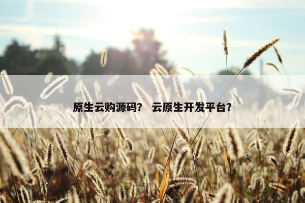 原生云购源码？ 云原生开发平台？