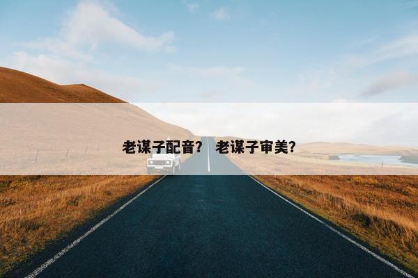 老谋子配音？ 老谋子审美？