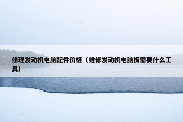 修理发动机电脑配件价格（维修发动机电脑板需要什么工具）