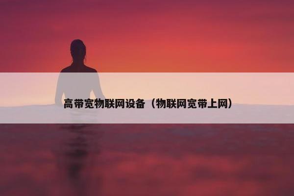 高带宽物联网设备（物联网宽带上网）