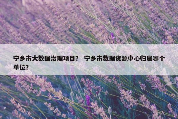 宁乡市大数据治理项目？ 宁乡市数据资源中心归属哪个单位？
