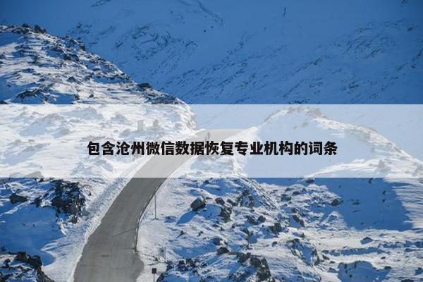 包含沧州微信数据恢复专业机构的词条