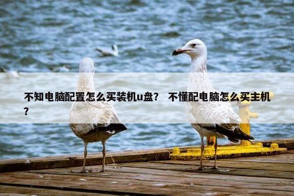 不知电脑配置怎么买装机u盘？ 不懂配电脑怎么买主机？