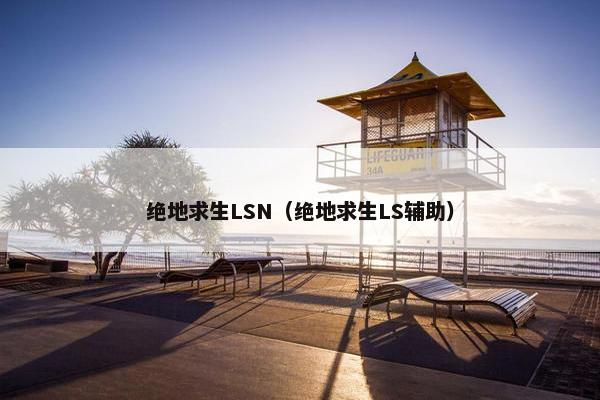 绝地求生LSN（绝地求生LS辅助）