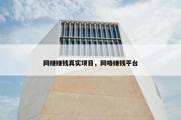 网赚赚钱真实项目，网咯赚钱平台