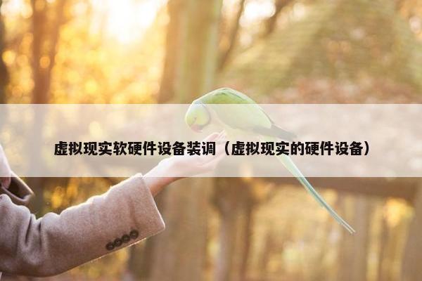 虚拟现实软硬件设备装调（虚拟现实的硬件设备）