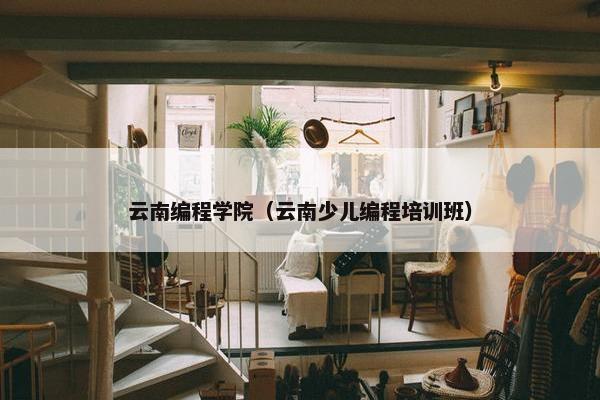 云南编程学院（云南少儿编程培训班）