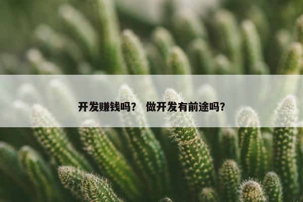 开发赚钱吗？ 做开发有前途吗？