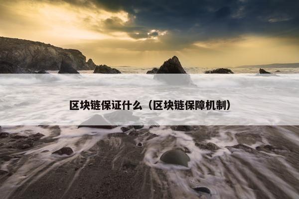 区块链保证什么（区块链保障机制）