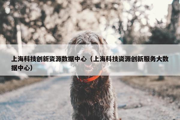 上海科技创新资源数据中心（上海科技资源创新服务大数据中心）