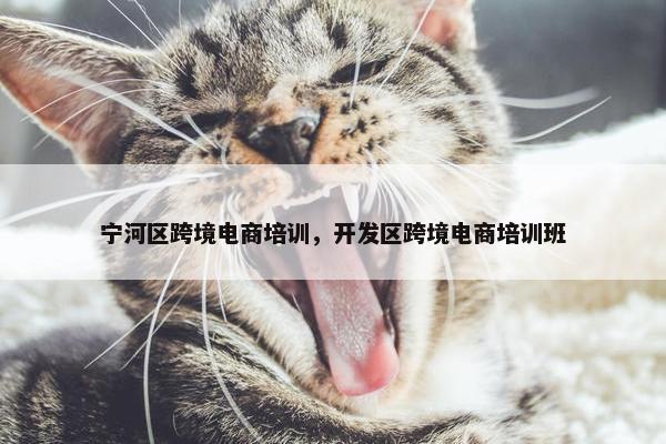 宁河区跨境电商培训，开发区跨境电商培训班
