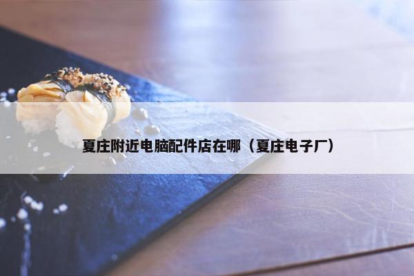 夏庄附近电脑配件店在哪（夏庄电子厂）