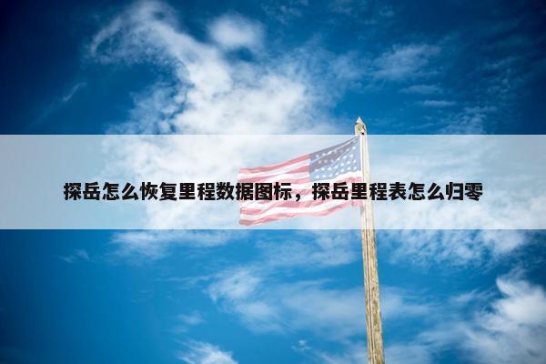 探岳怎么恢复里程数据图标，探岳里程表怎么归零