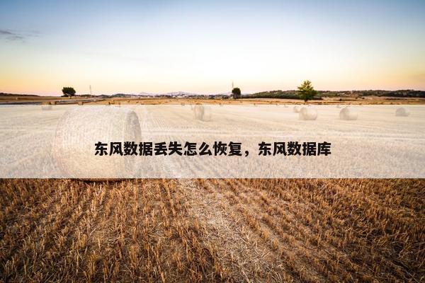 东风数据丢失怎么恢复，东风数据库