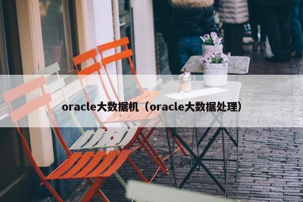oracle大数据机（oracle大数据处理）