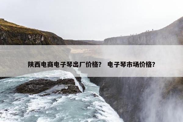 陕西电商电子琴出厂价格？ 电子琴市场价格？