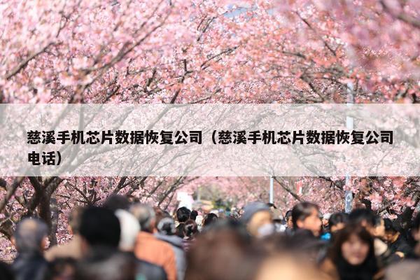 慈溪手机芯片数据恢复公司（慈溪手机芯片数据恢复公司电话）