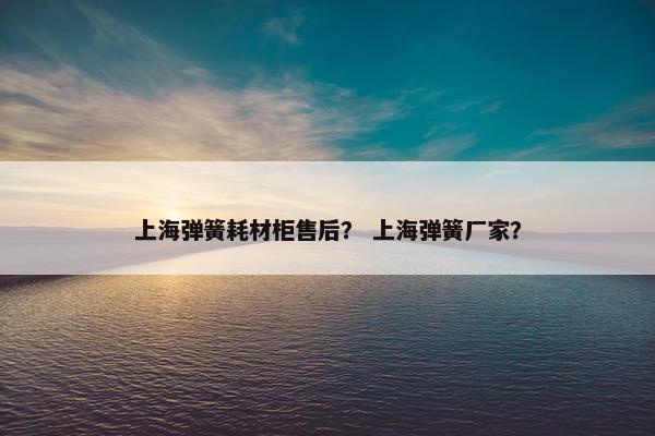 上海弹簧耗材柜售后？ 上海弹簧厂家？