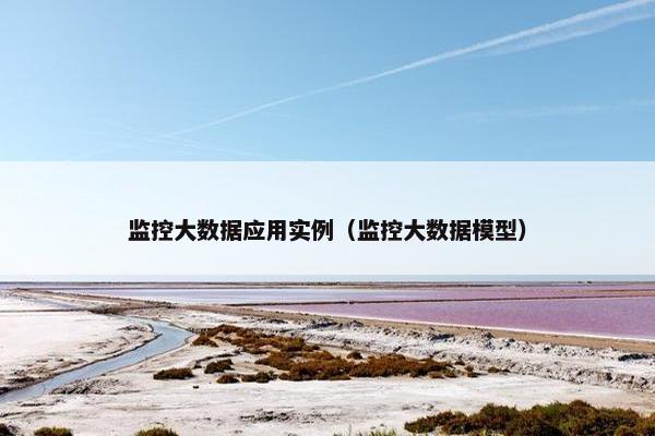 监控大数据应用实例（监控大数据模型）