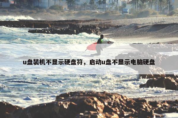 u盘装机不显示硬盘符，启动u盘不显示电脑硬盘