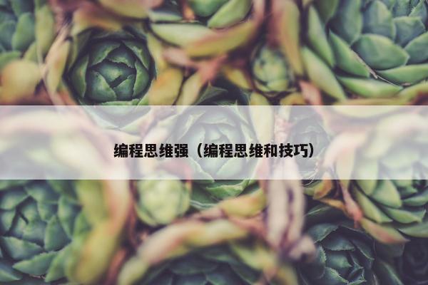 编程思维强（编程思维和技巧）