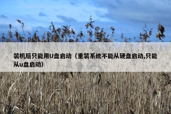装机后只能用U盘启动（重装系统不能从硬盘启动,只能从u盘启动）