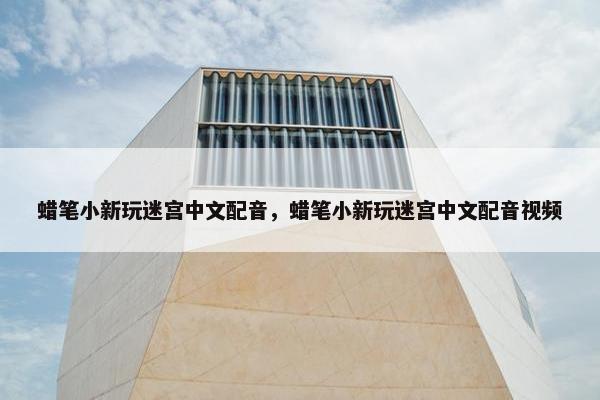 蜡笔小新玩迷宫中文配音，蜡笔小新玩迷宫中文配音视频