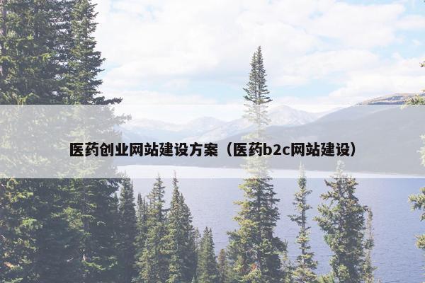 医药创业网站建设方案（医药b2c网站建设）