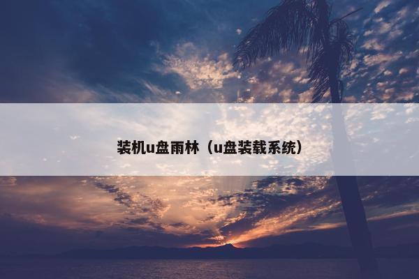 装机u盘雨林（u盘装载系统）