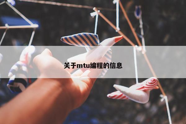 关于mtu编程的信息