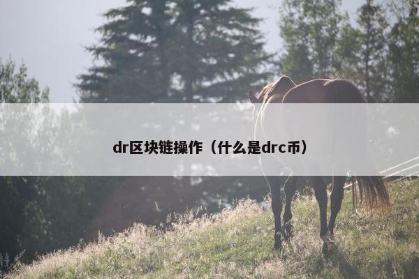 dr区块链操作（什么是drc币）