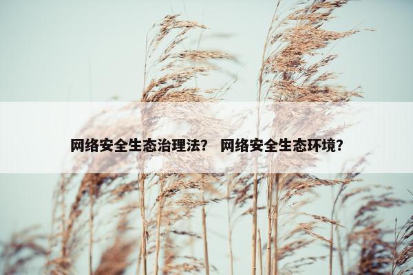 网络安全生态治理法？ 网络安全生态环境？