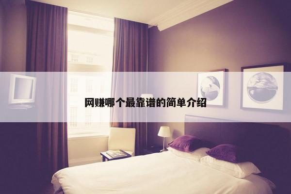 网赚哪个最靠谱的简单介绍