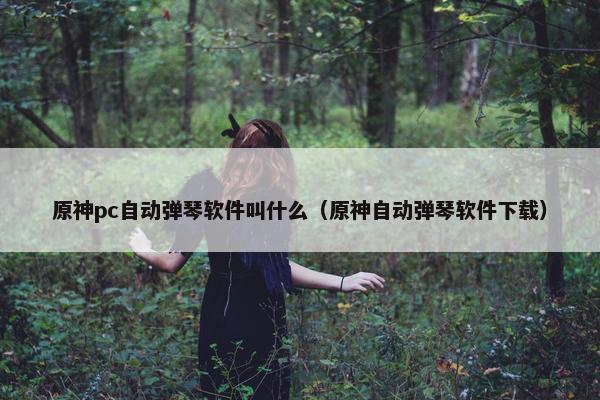 原神pc自动弹琴软件叫什么（原神自动弹琴软件下载）
