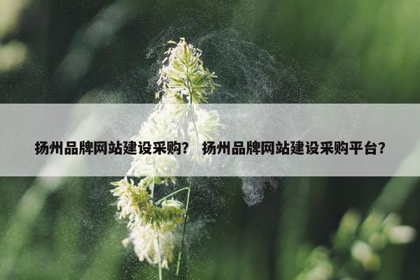 扬州品牌网站建设采购？ 扬州品牌网站建设采购平台？