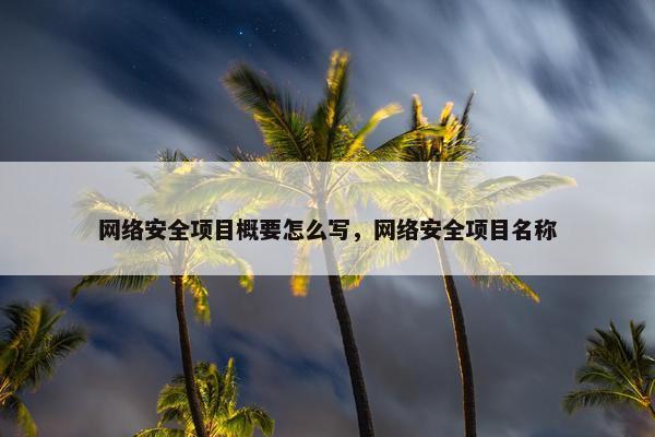 网络安全项目概要怎么写，网络安全项目名称