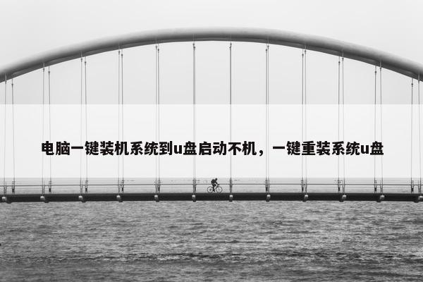 电脑一键装机系统到u盘启动不机，一键重装系统u盘