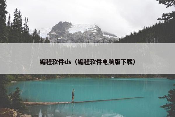 编程软件ds（编程软件电脑版下载）