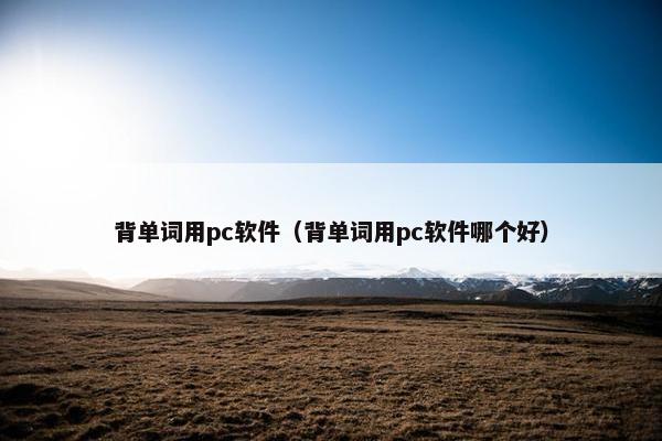 背单词用pc软件（背单词用pc软件哪个好）