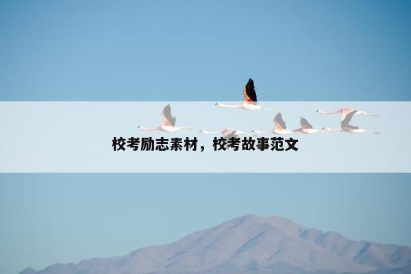 校考励志素材，校考故事范文