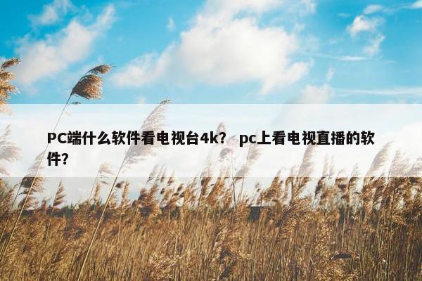 PC端什么软件看电视台4k？ pc上看电视直播的软件？